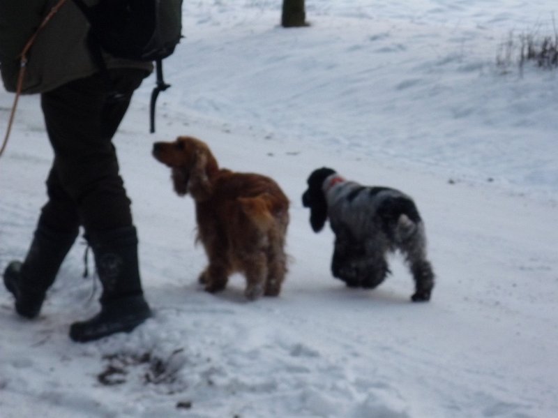 hon_konopiste (86).jpg